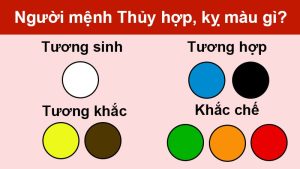 Mệnh Thủy Hợp Màu Gì 2026? 5 Bí Quyết Chọn Màu Thu Hút Tài Vận