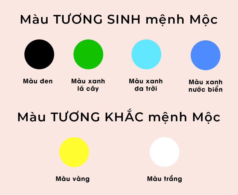 Hiểu rõ mệnh mộc hợp màu gì theo Ngũ hành giúp bạn có lựa chọn chính xác nhất.