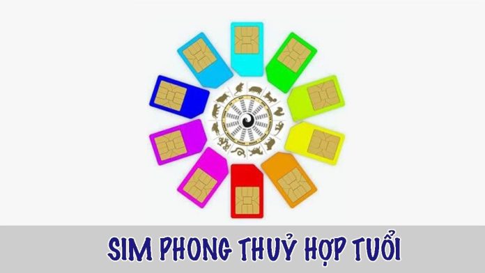 Sim Phong Thủy Hợp Tuổi: 5 Bước Luận Giải Và Chọn Số Hợp Mệnh 2026