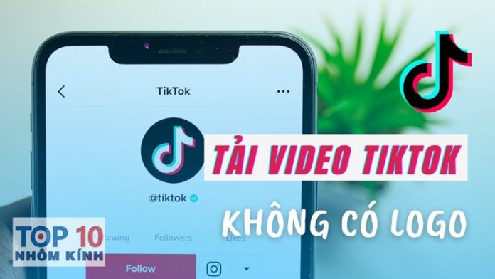 hinh-anh-188ti-video-tiktok-khng-logo-2239025534