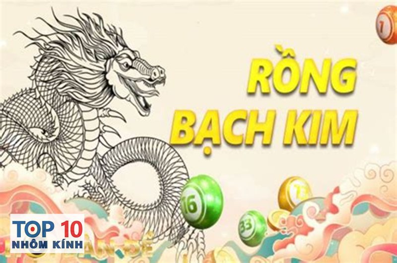 rồng bạch kim - Khái niệm cơ bản