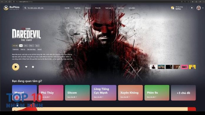 Rophim là gì - So sánh nhanh với các nền tảng quen thuộc