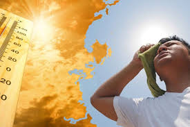 Tác hại của thời tiết quá nóng