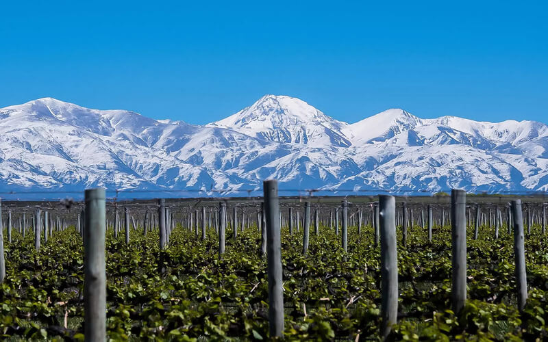 Mendoza, nằm dưới chân dãy Andes, là vùng sản xuất rượu vang lớn nhất và nổi tiếng nhất Argentina.