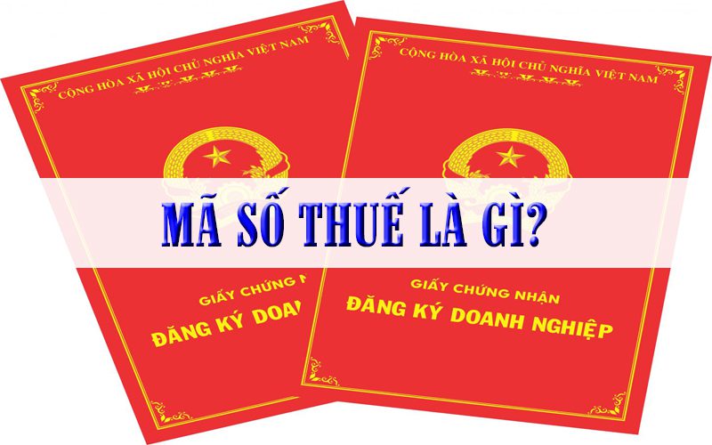 Mã số thuế - Khái niệm theo quy định pháp luật