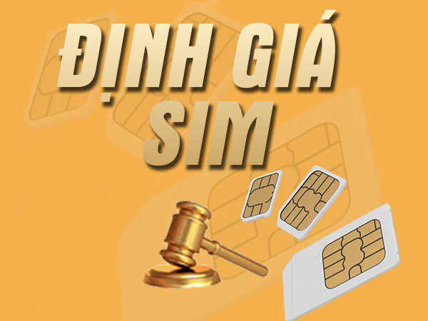 Định giá sim - Tình trạng sở hữu và lịch sử sử dụng