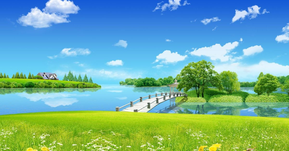 Hình nền máy tính - Màu sắc và độ tương phản phù hợp